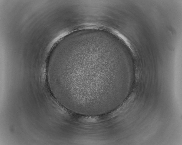 X0000113371411200909291041