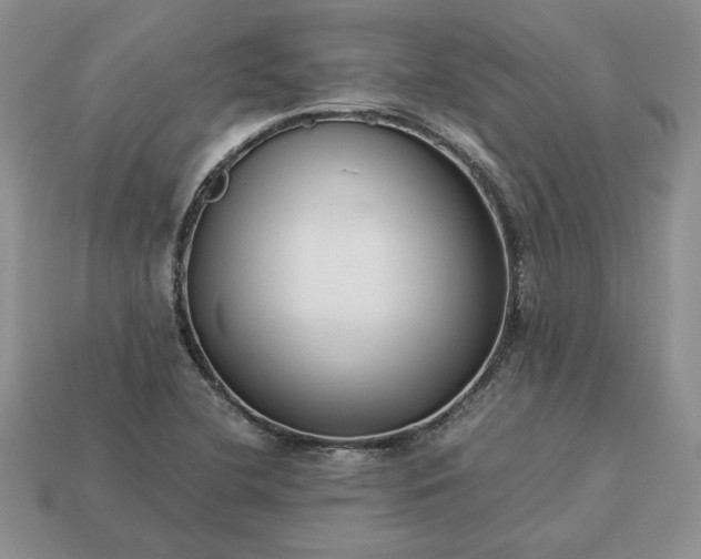 X0000113371412200909291041