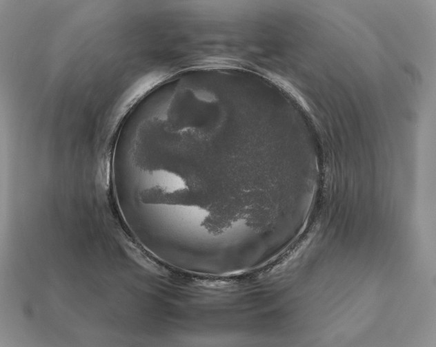 X0000113371413200909291041