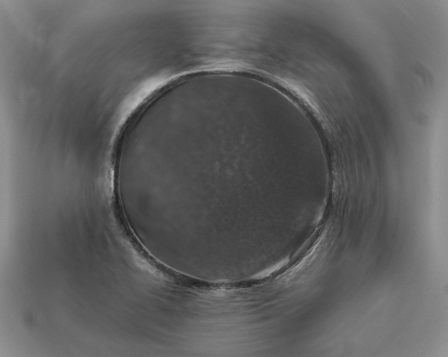 X0000113371414200909291041