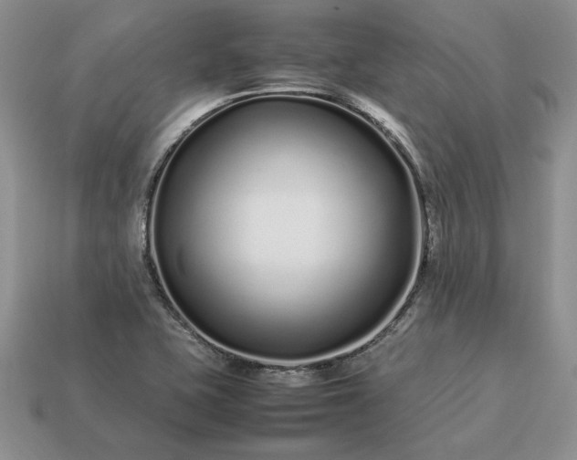 X0000113371415200909291041