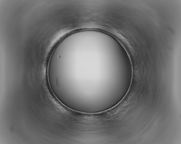 X0000113371416200909291041