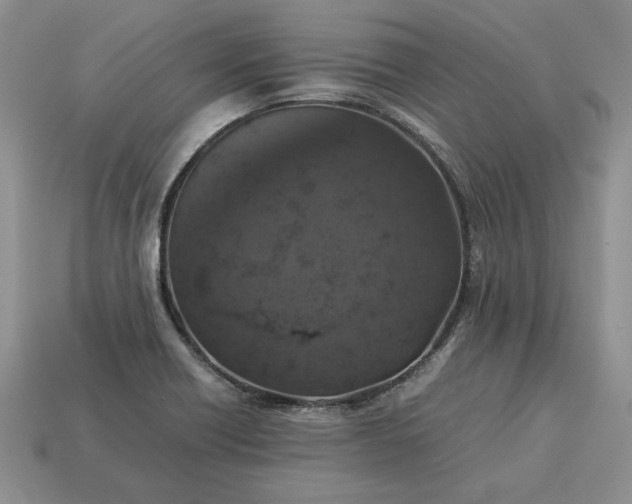 X0000113371418200909291041