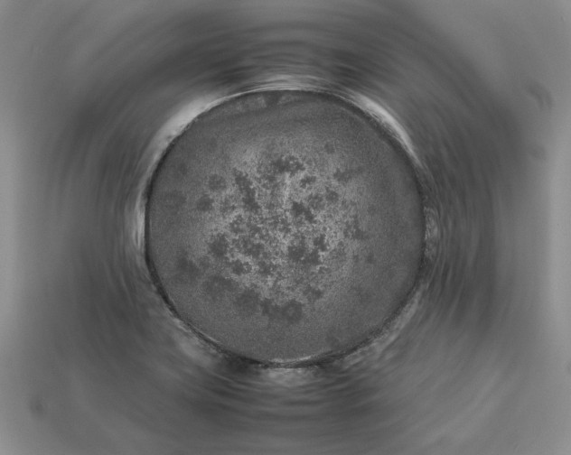 X0000113371419200909291041