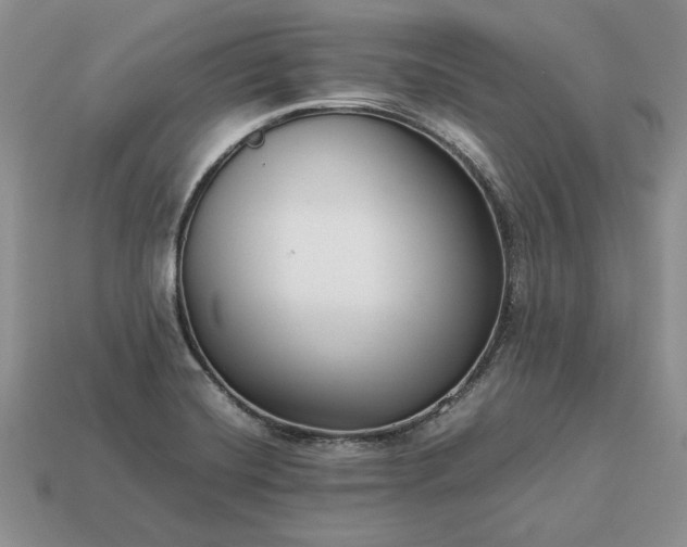 X0000113371420200909291041