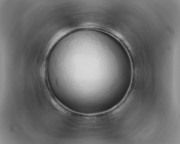 X0000113371421200909291041