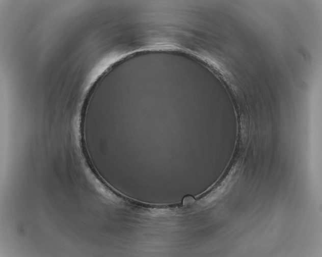 X0000113371422200909291041