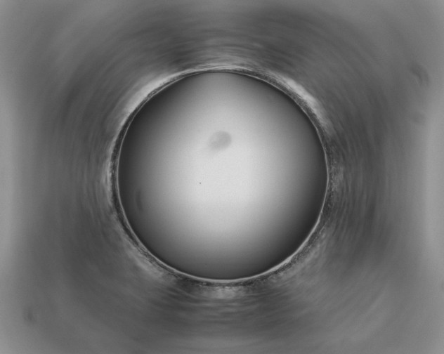 X0000113371423200909291041