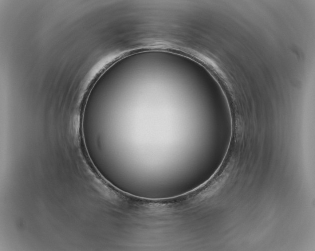 X0000113371424200909291041