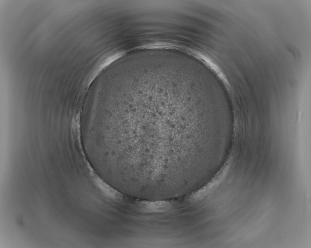 X0000113371425200909291041