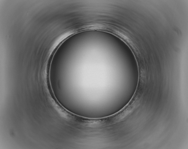 X0000113371426200909291041