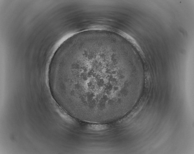 X0000113371427200909291041