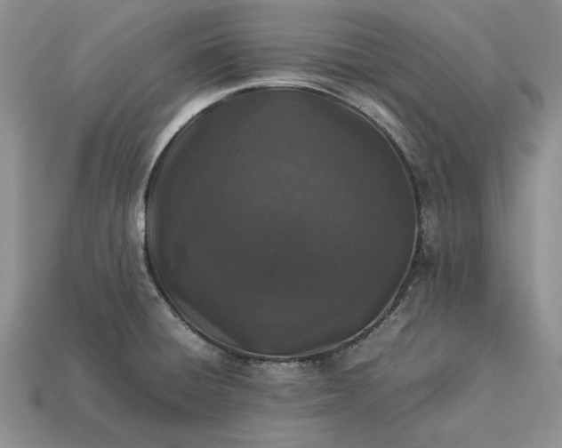 X0000113371428200909291041