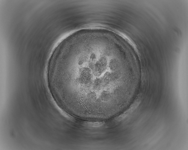 X0000113371429200909291041