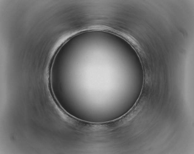 X0000113371430200909291041