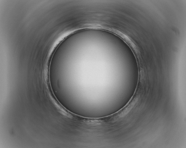 X0000113371432200909291041