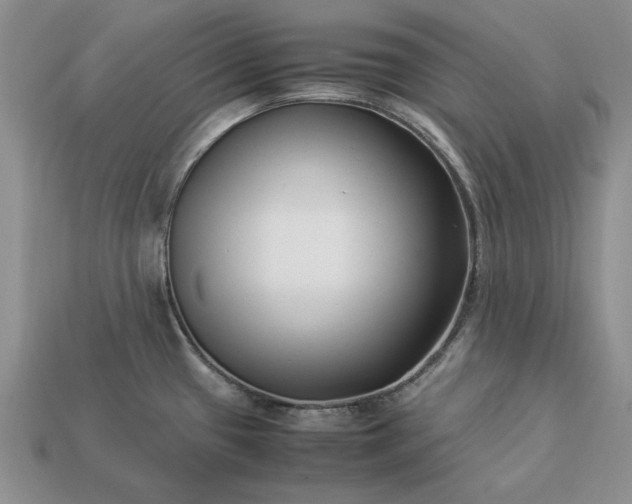 X0000113371433200909291041