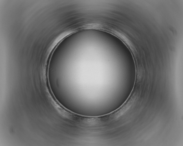 X0000113371434200909291041