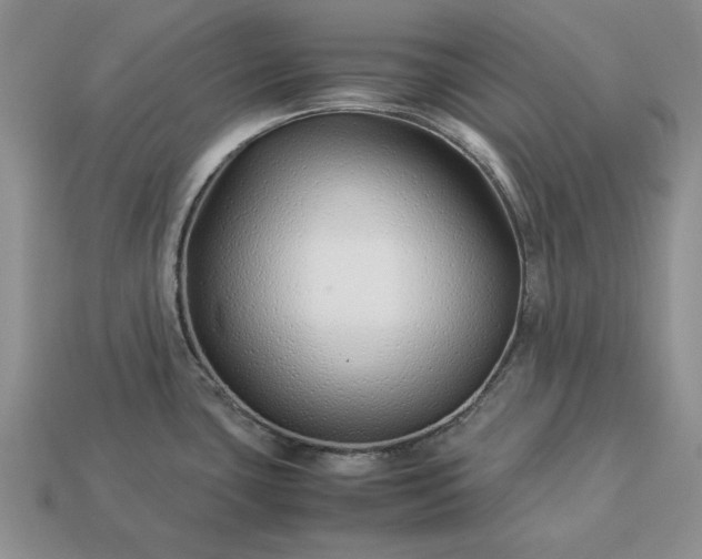 X0000113371435200909291041