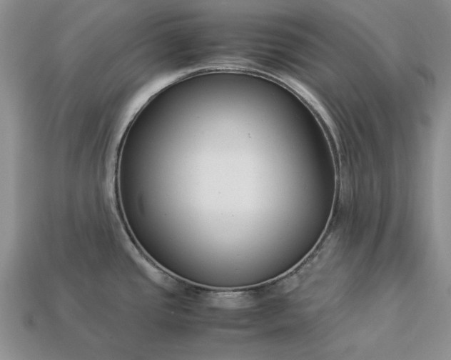 X0000113371437200909291041