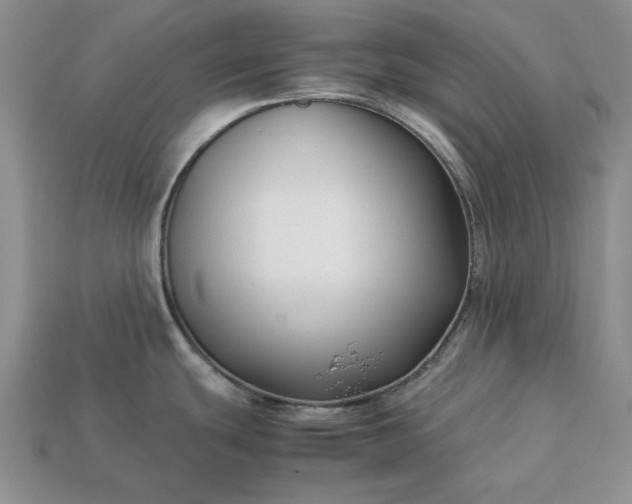 X0000113371439200909291041