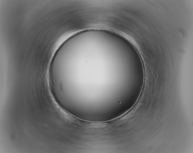 X0000113371440200909291041