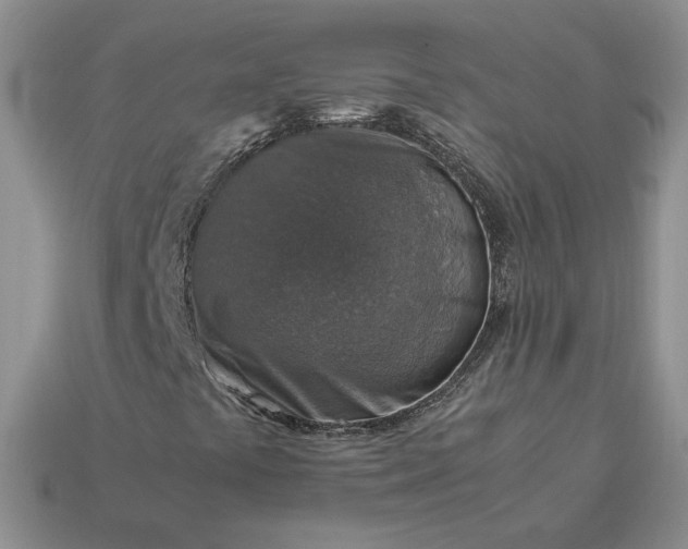 X0000113371441200909291041