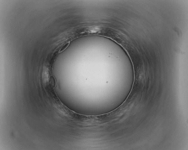 X0000113371442200909291041