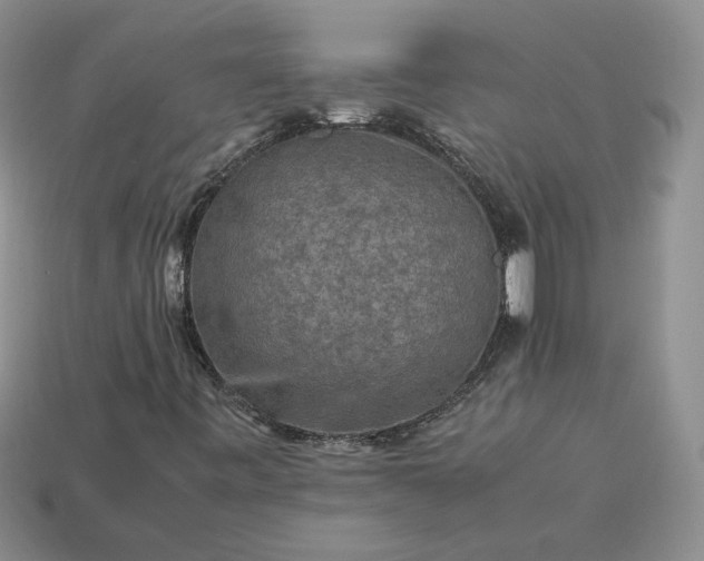 X0000113371443200909291041