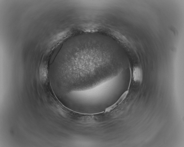 X0000113371444200909291041