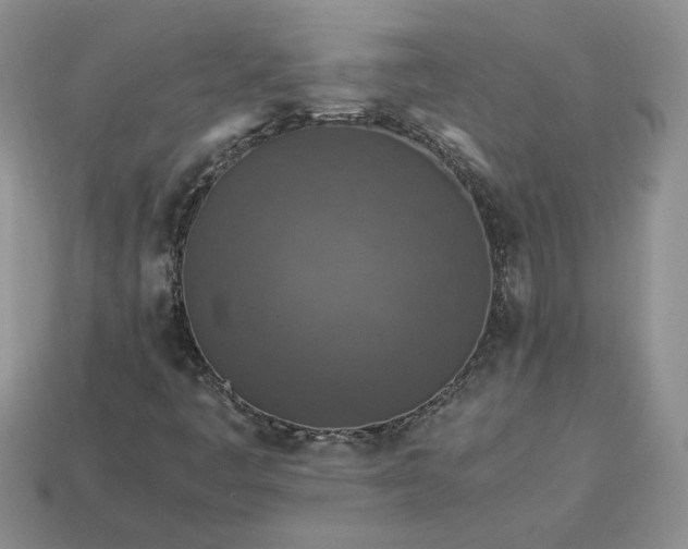 X0000113371445200909291041