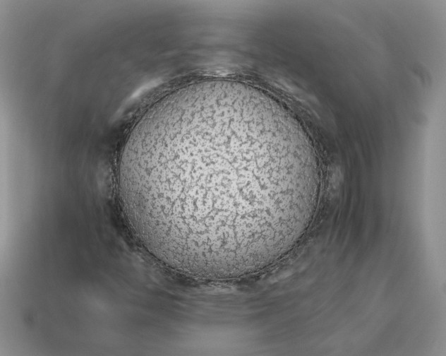 X0000113371446200909291041