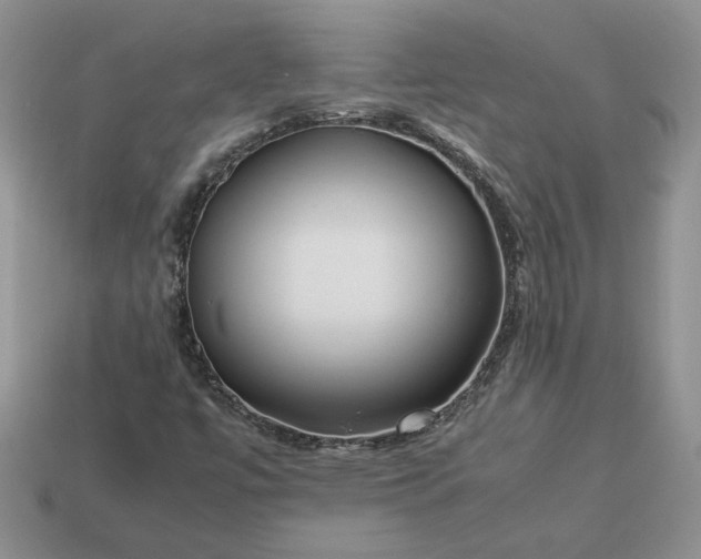 X0000113371447200909291041