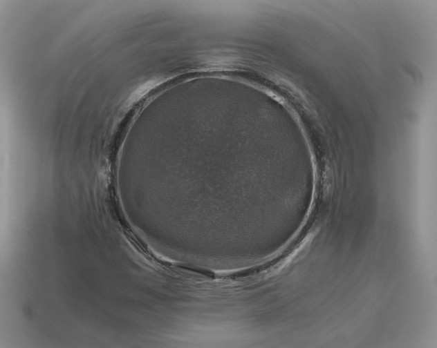 X0000113371449200909291041