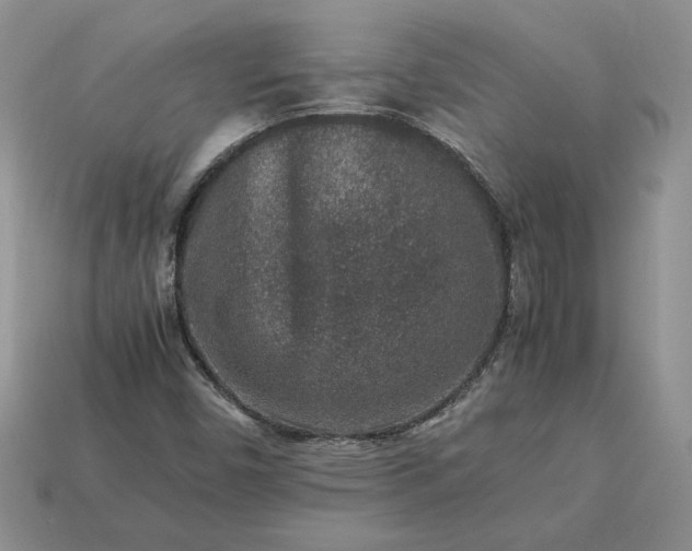 X0000113371450200909291041