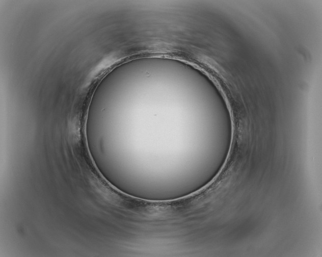 X0000113371451200909291041