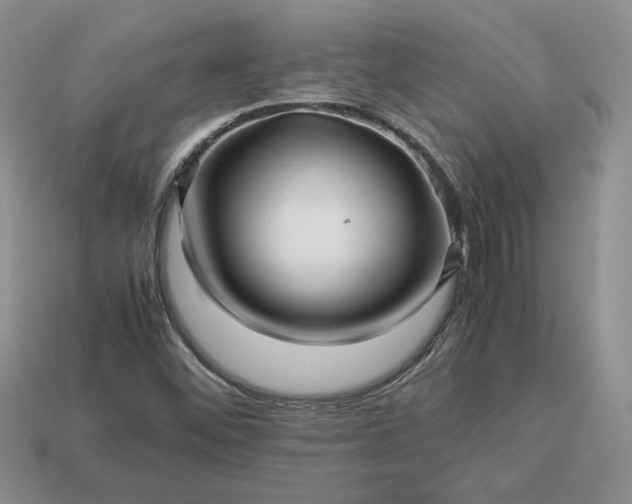 X0000113371452200909291041