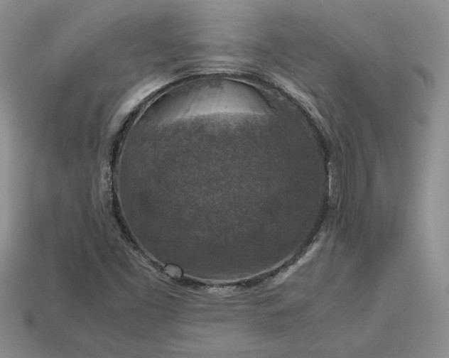 X0000113371453200909291041