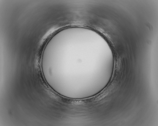 X0000113371454200909291041