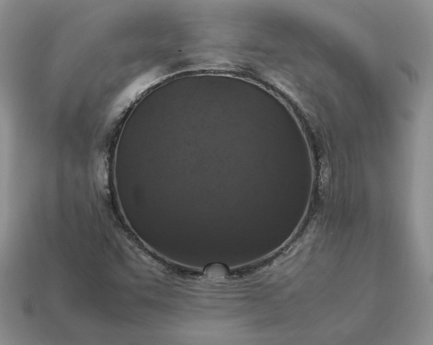 X0000113371455200909291041