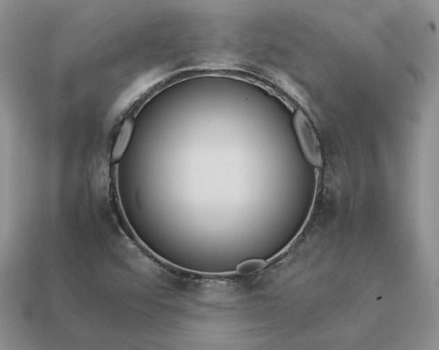 X0000113371456200909291041