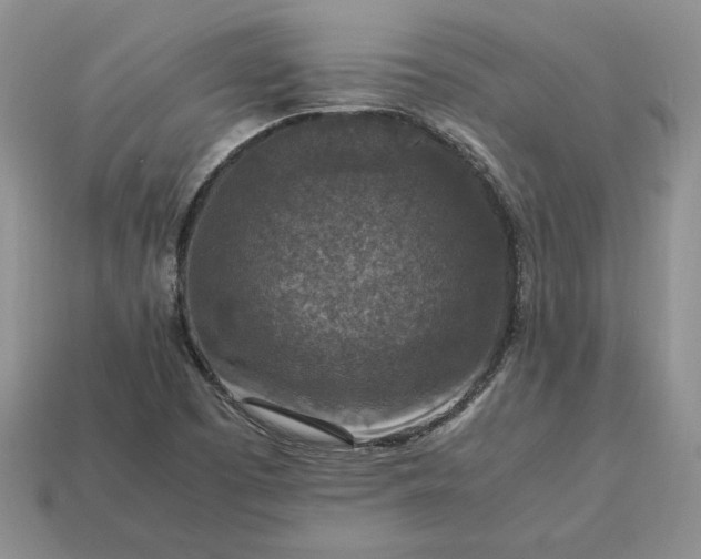 X0000113371457200909291041