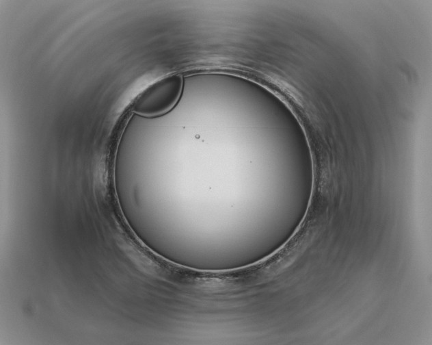 X0000113371458200909291041