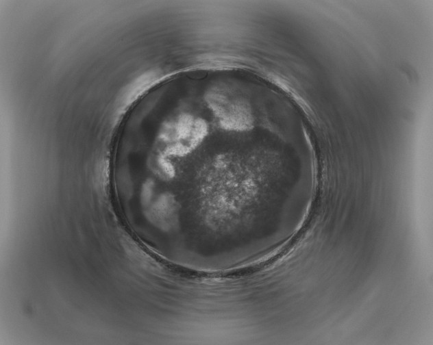 X0000113371459200909291041