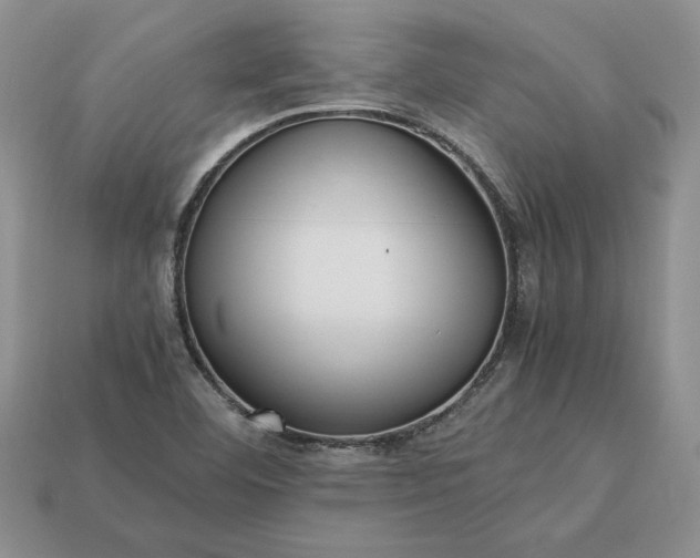 X0000113371460200909291041