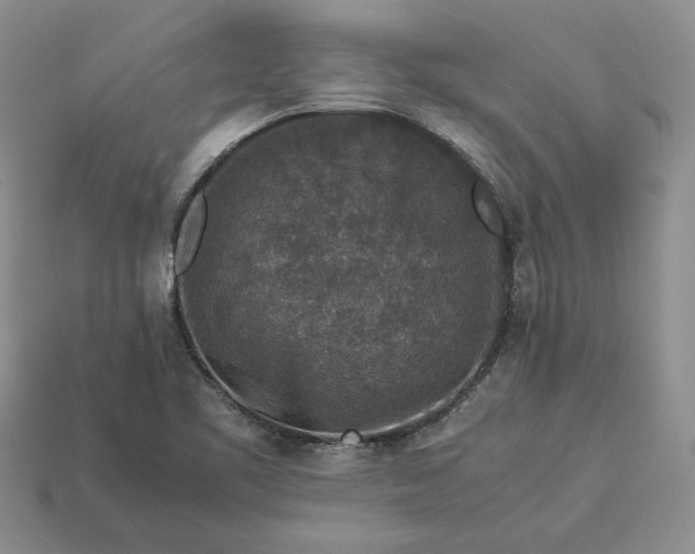 X0000113371461200909291041