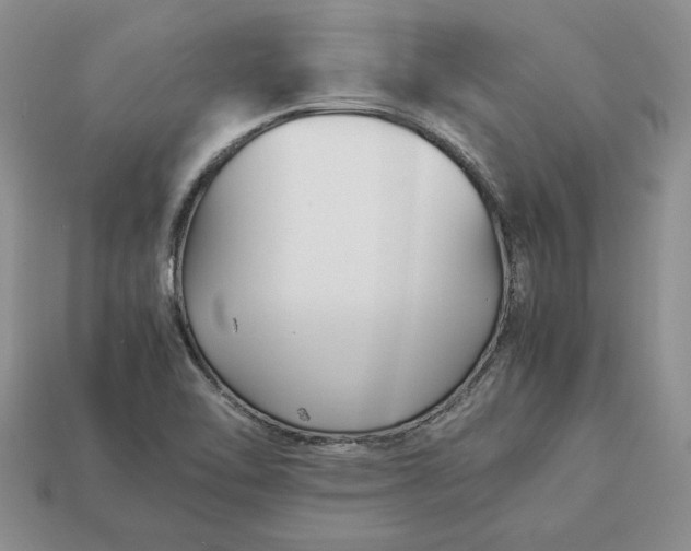 X0000113371462200909291041