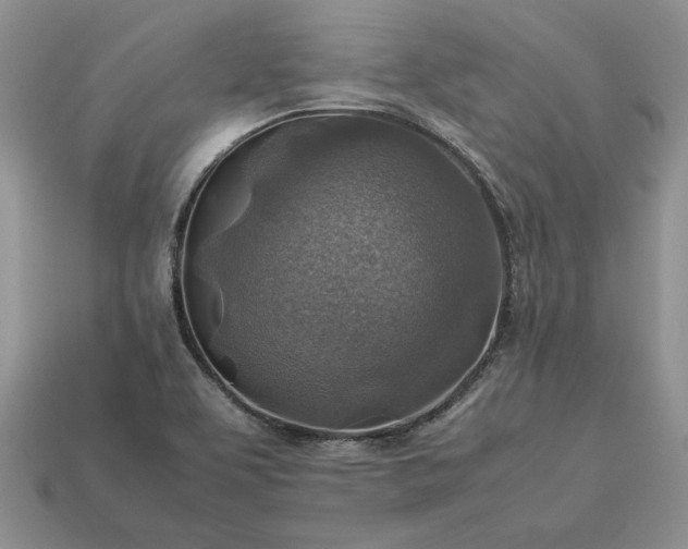 X0000113371463200909291041