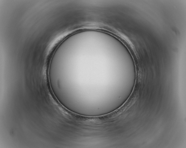 X0000113371464200909291041