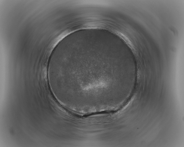 X0000113371465200909291041